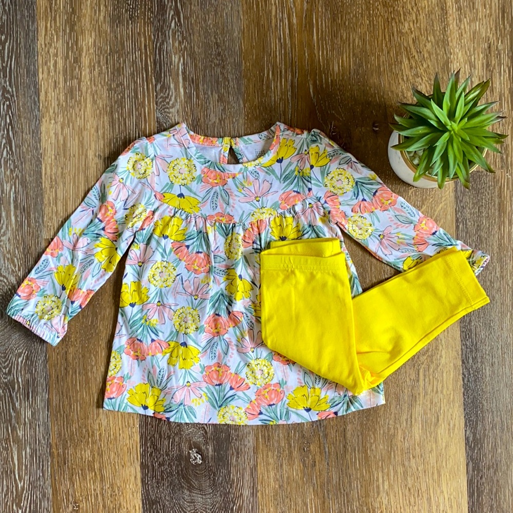 🍍Flash Sale🍍Carter’s 12mo baby girl outfit